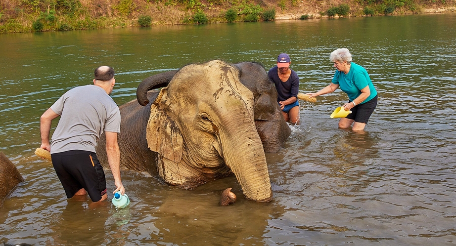 Day 13:  Luang Prabang - Elephant Village Camp - Tad Sae Waterfall (Breakfast, Lunch)